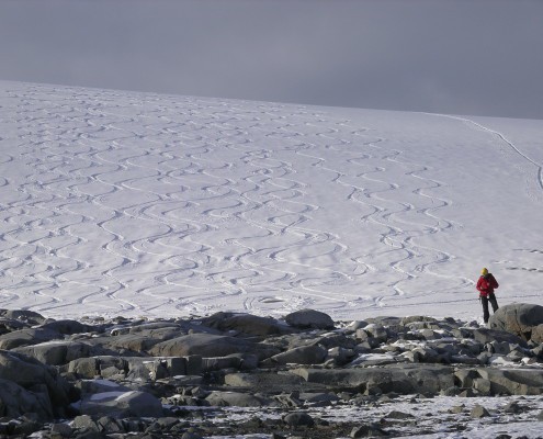 ecotourism in antarctica essay Ecotourism resources for antarctica below is a collection of resources related to ecotourism in antarctica the importance of antarctica- history, politics, and the future. ecotourism in antarctica essay Ecotourism resources for antarctica below is a collection of resources related to ecotourism in antarctica the importance of antarctica- history, politics, and the future.