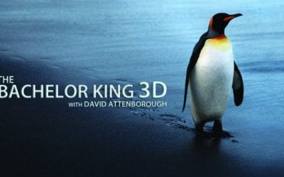 Supported by ‘Australis’ The Bachelor King in 3D with David Attenborough goes to air